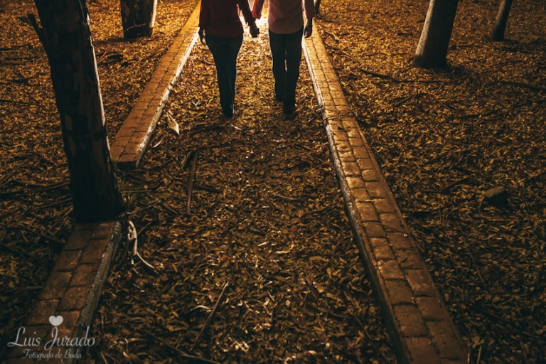023_Luis Jurado_fotógrafo_de boda_en_malaga