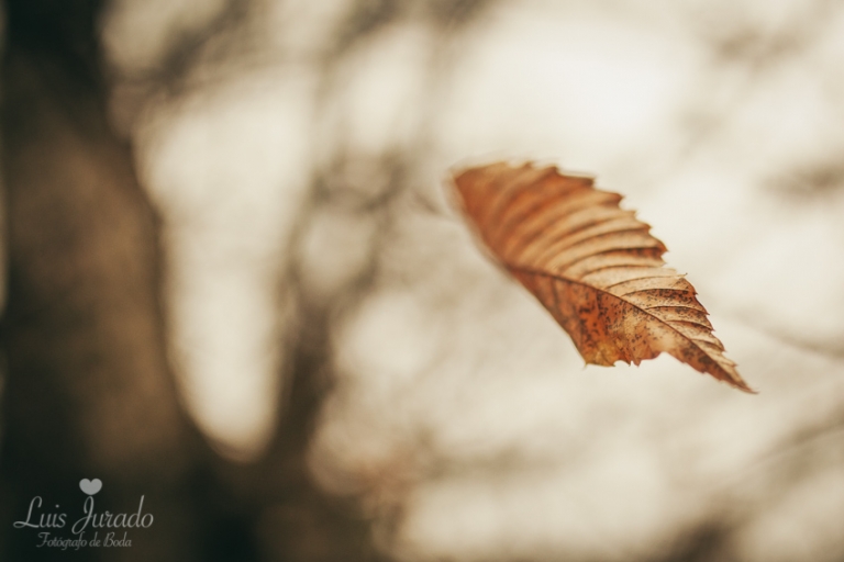 001_Luis_Jurado_fotografo_De_boda_en_Marbella_fotos_de_novios