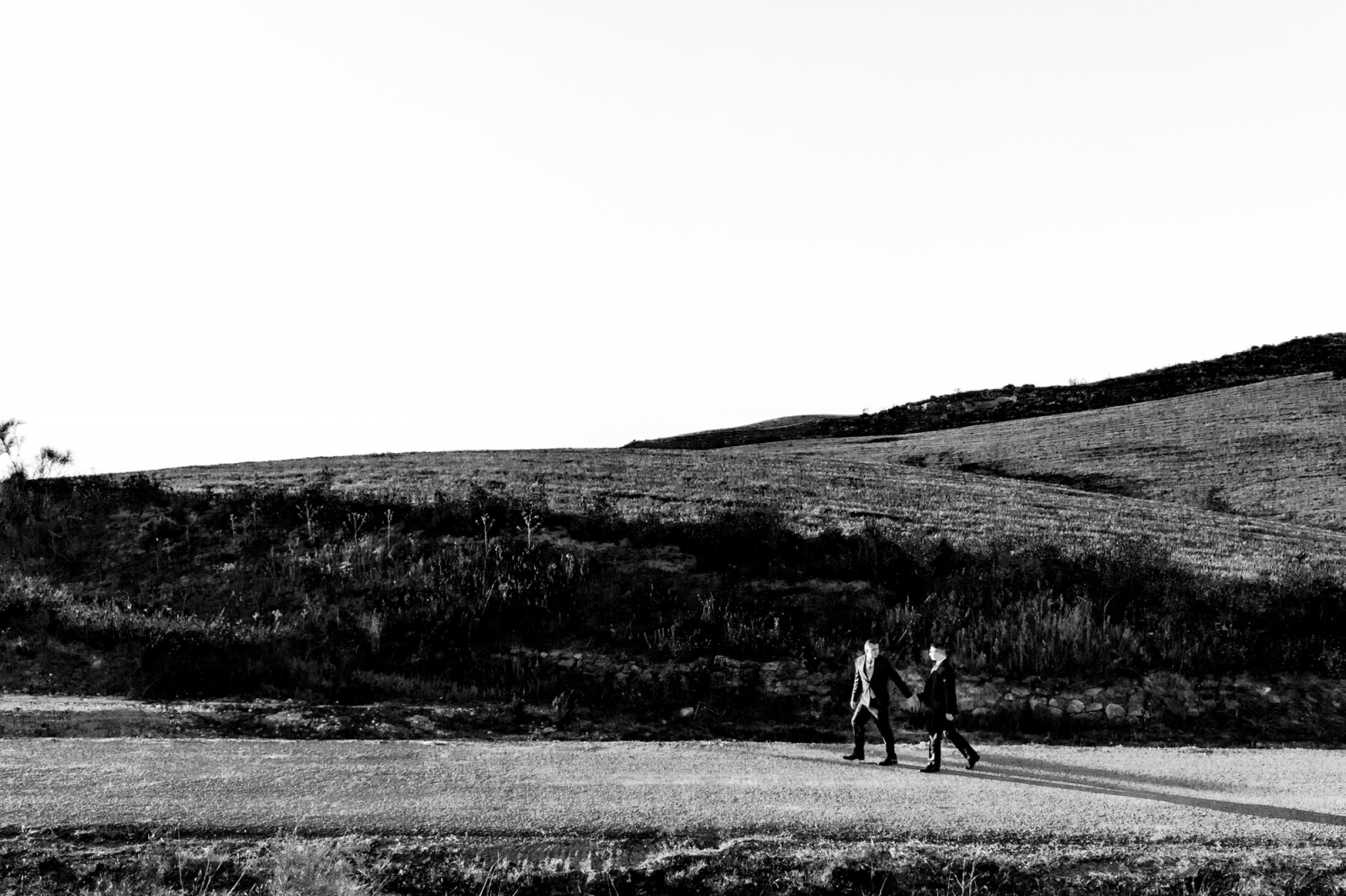 Fotos de novios en el campo