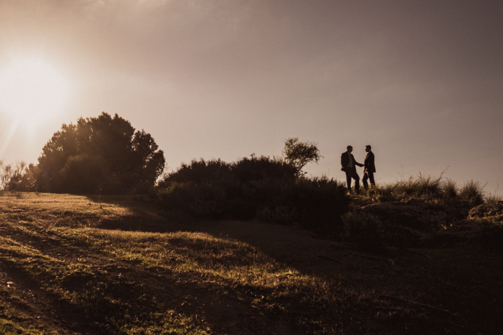 Fotos de novios en el campo